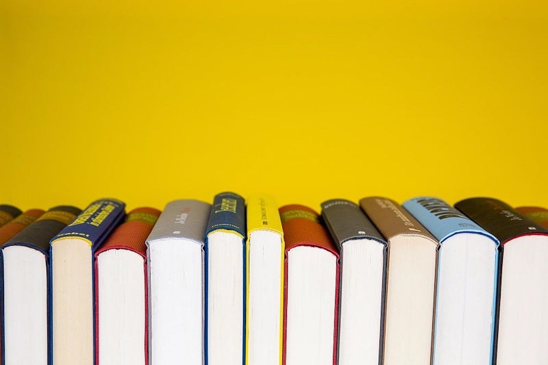LIBRO - REYES VAGABUNDOS