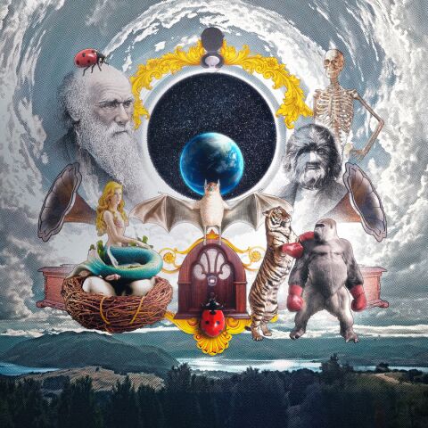 Materia Absurda HERO